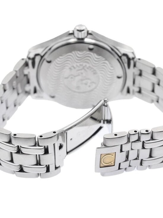 OMEGA Seamaster120 2511.33 Date Silver Dial Quartz Men\'s Watch_879034 main image 5